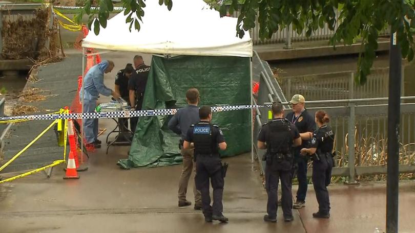 The body of a woman has been found on a busy bikeway in Brisbane‘s north.