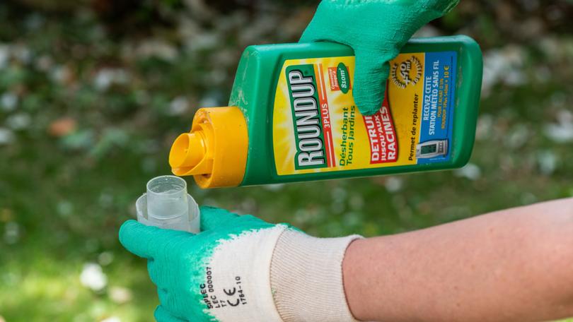 Paris, France - August 15, 2018 : Gardener using Roundup herbicide in a french garden. Roundup is a brand-name of an herbicide containing glyphosate, made by Monsanto Company.