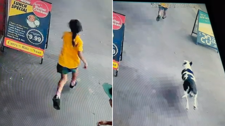 A five-year-old girl was struck by a ute while fleeing from a dog.