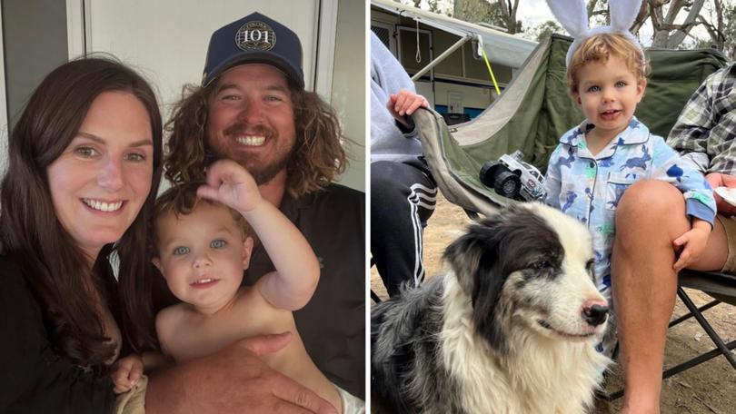 Sally Burls was celebrating Easter Monday with her husband Dylan Burls, their two-year-old son Harry, and their family border collie Archie when a tree branch fell down onto the family.
