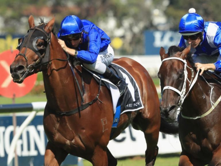 Happy Clapper (left) challenged Winx on 11 occasions for six minor placings.