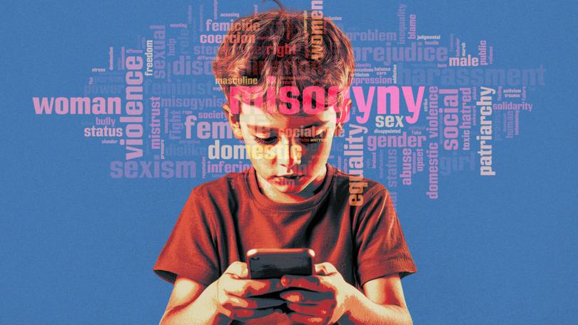 Australia’s next parliament should hold Big Tech to account over dangerous algorithms shaping society says Senator David Pocock as PM calls for nation to ‘do better’ in stamping out misogyny