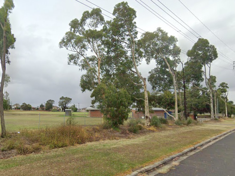 Five people have been charged after a wild brawl in Sydney.