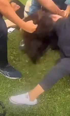 One women involved in the brawl had her hair pulled during the confrontation.