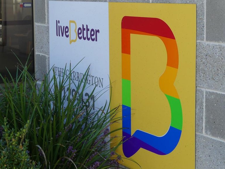 Disability support provider LiveBetter has pleaded after a woman died as a result of its care.
