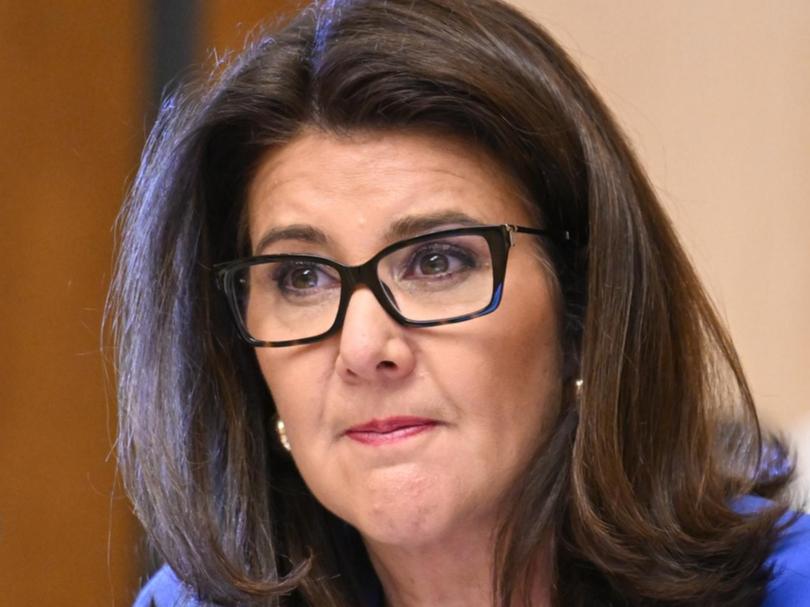 Shadow Finance Minister Jane Hume.