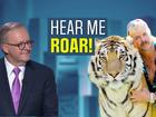WATCH: In today’s episode of Newsworthy, Ben O’Shea reveals why Joe Exotic backed Albanese. Plus, Penny Wong’s Voice comment gives Dutton ammo & we unpack the PM’s press club appearance.