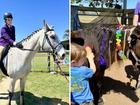 For these riders, the horses at RDA Hervey Bay are more than animals — they’re trusted partners in therapy.