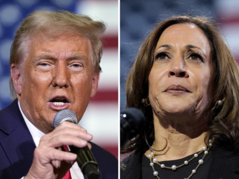 US President Donald Trump has removed the security clearance of former vice president Kamala Harris.