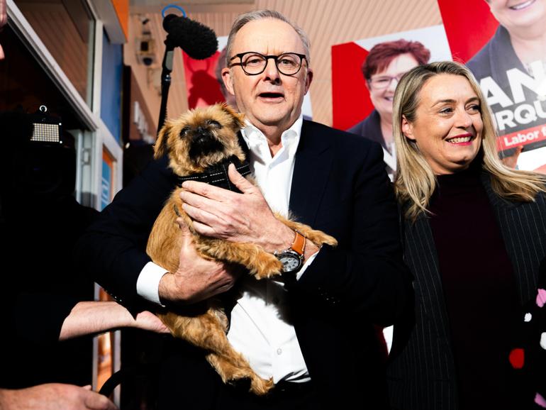 Australian Prime Minister Anthony Albanese holds someone's pet dog during a to visit to Rooke Street Mall shopping area on May 02, 2025 in Devonport, Australia. 