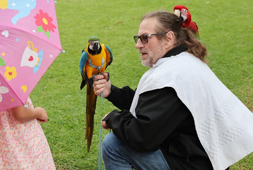A young future voter checks out a Macaw at Wellard Primary School.