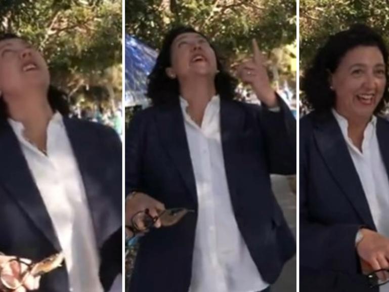 A video posted to X by the ABC shows the reporter begin to ask a question, when Ms Ryan’s face scrunches up in confusion as she looks to the trees above.