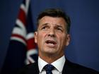 Shadow Treasurer Angus Taylor may take on the Liberal Party leadership after Peter Dutton's defeat.