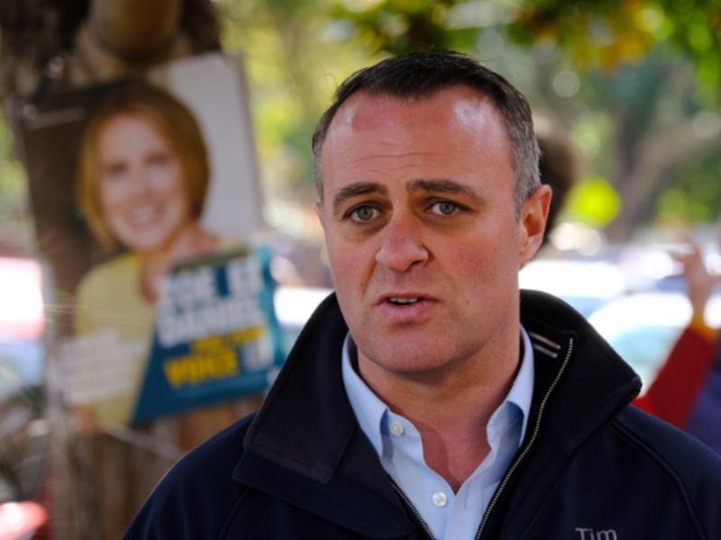 Tim Wilson will contest the seat of Goldstein for the Liberal Party in a rematch with Zoe Daniel. (Luis Ascui/AAP PHOTOS)