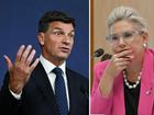 Outgoing Senator Hollie Hughes has raised 'concern' over Angus Taylor's 'capabilities'.