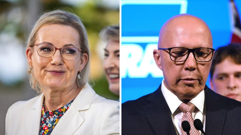 Acting Liberal leader Sussan Ley says the party is holding off meeting to elect a new leader.