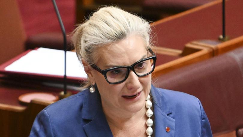 Liberal senator Hollie Hughes has blasted the Coalition for having ‘nothing to sell’. NewsWire / Martin Ollman