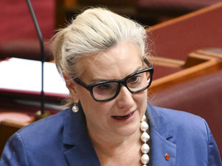 Liberal senator Hollie Hughes has blasted the Coalition for having ‘nothing to sell’. NewsWire / Martin Ollman