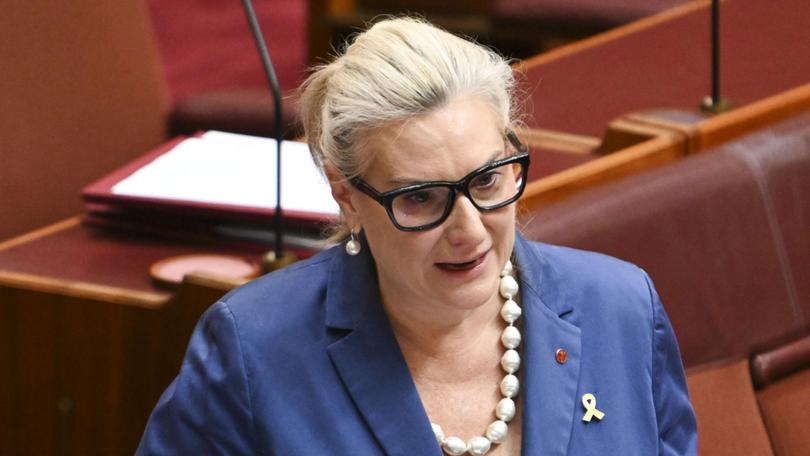 Liberal senator Hollie Hughes has blasted the Coalition for having ‘nothing to sell’. Picture: NewsWire / Martin Ollman