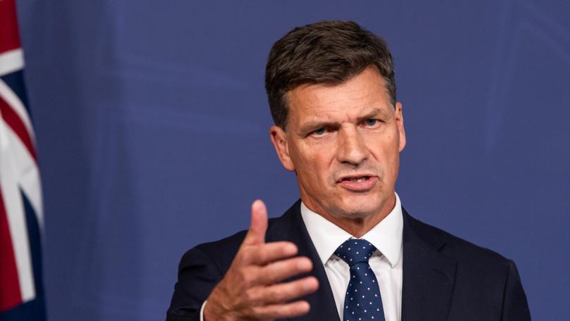 Shadow treasurer Angus Taylor has been floated as a possible successor to ousted Liberal leader Peter Dutton. Picture: NewsWire / Monique Harmer