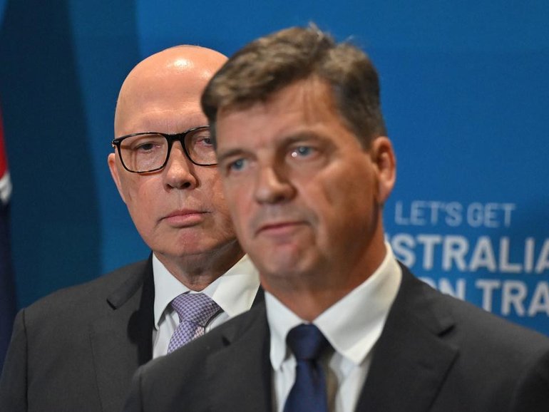 Angus Taylor is being touted as one of the contenders to replace Peter Dutton as Liberal leader.  