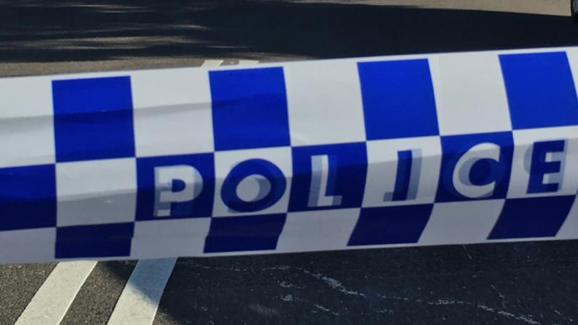 A grandmother has been arrested after two children were found dead at a home in rural NSW.