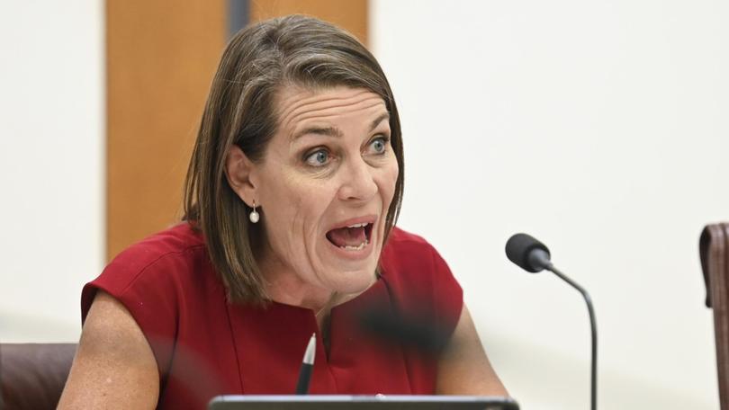 Deputy Nationals Leader Perin Davey says the Liberals have cost her her senate seat. NewsWire / Martin Ollman
