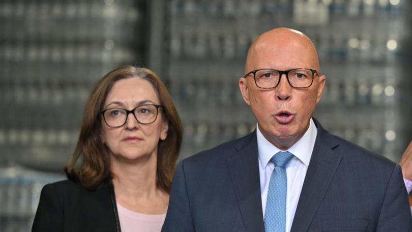 NSW Liberal senator Maria Kovacic says the coalition needs to implement gender quotas.