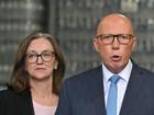 NSW Liberal senator Maria Kovacic says the coalition needs to implement gender quotas.