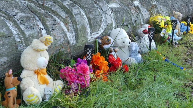 The deaths of two boys, aged six and seven, in rural NSW are being treated as a double murder.