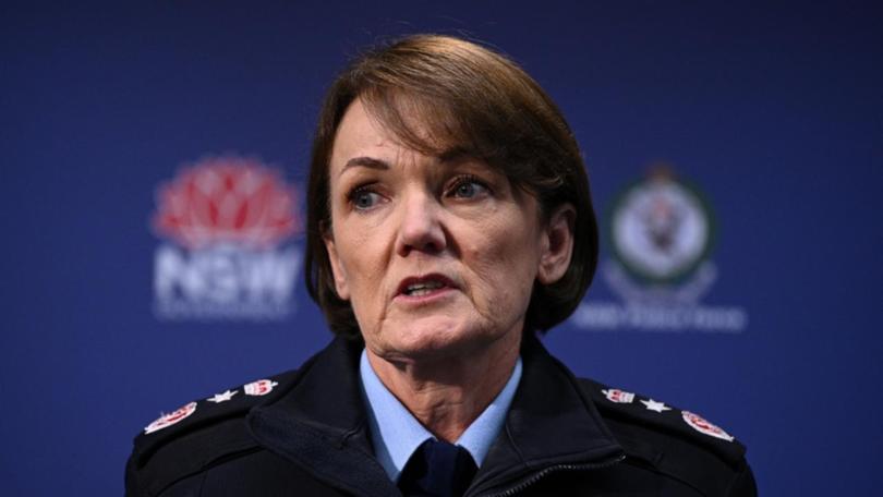 Karen Webb is stepping down as police commissioner after a turbulent three years leading the force. (Dan Himbrechts/AAP PHOTOS)