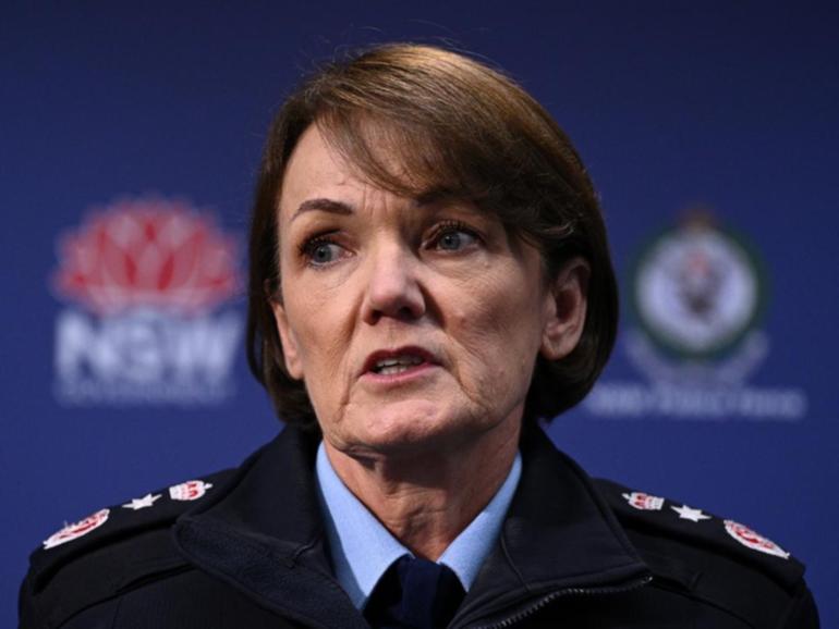 Karen Webb is stepping down as police commissioner after a turbulent three years leading the force. (Dan Himbrechts/AAP PHOTOS)