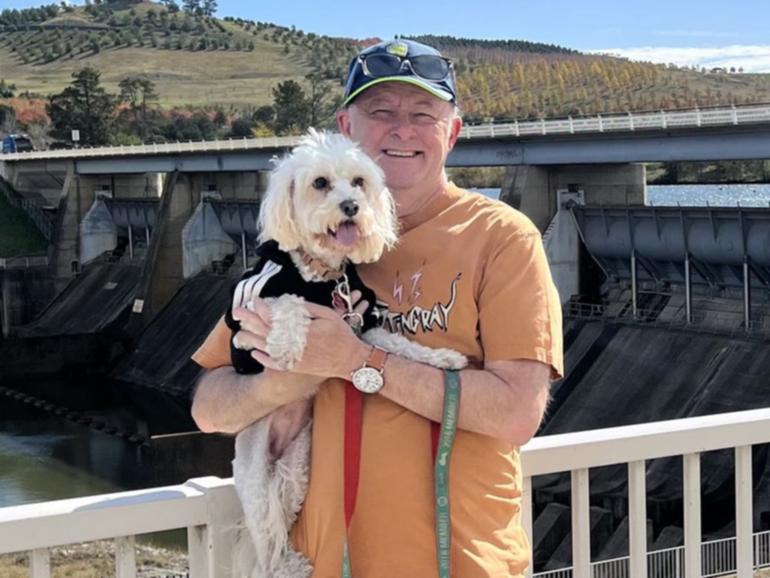 Prime Minister Anthony Albanese takes dog Toto for a walk in Canberra.