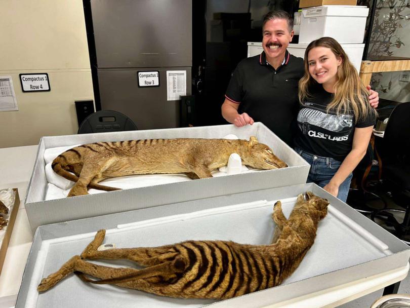 Andrew Pask and Colossal Sciences director of species restoration Sarah Ord at the first annual Tasmanian Thylacine Advisory Committee summit in Melbourne.