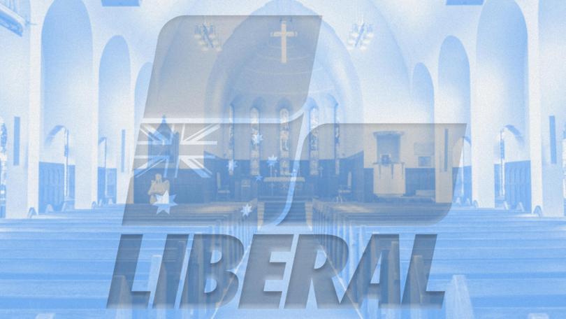 MARK RILEY: Unless it embraces moderates to be a ‘broad church’ once more, the Liberal Party is welcoming its own destruction.