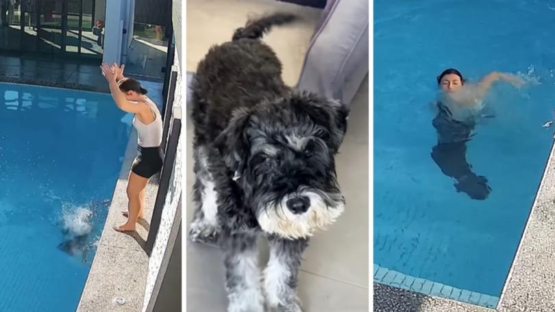 Shannon Tremaine and her dad Vincent had to quickly snap into lifeguard-mode when their beloved pet’s curiosity about its new backyard nearly turned into a tragedy.