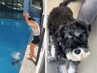 Shannon Tremaine and her dad Vincent had to quickly snap into lifeguard-mode when their beloved pet’s curiosity about its new backyard nearly turned into a tragedy. 