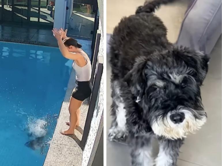 Shannon Tremaine and her dad Vincent had to quickly snap into lifeguard-mode when their beloved pet’s curiosity about its new backyard nearly turned into a tragedy. 