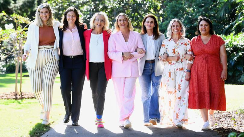 Labor's federal ranks will be boosted by a host of newcomers, including many from Queensland.