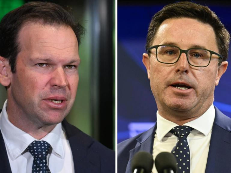 Queensland Nationals’ Senator Matt Canavan has announced he will challenge for the leadership of the National Party.