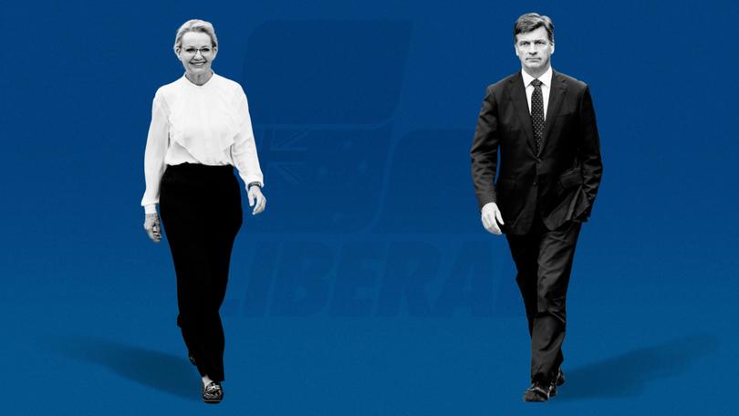 Sussan Ley and Angus Taylor go to war for leadership of the stricken Liberals.