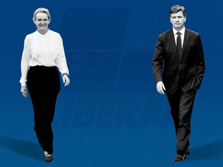 Sussan Ley and Angus Taylor go to war for leadership of the stricken Liberals.