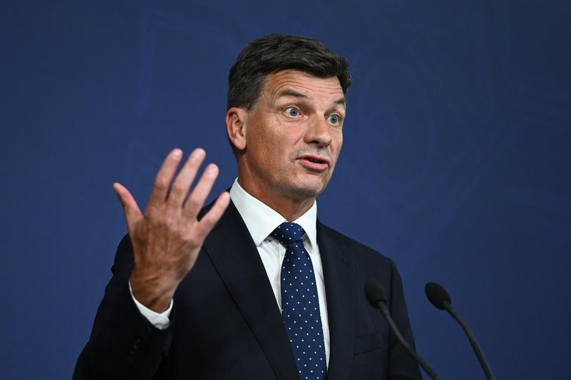 Shadow Treasurer Angus Taylor.