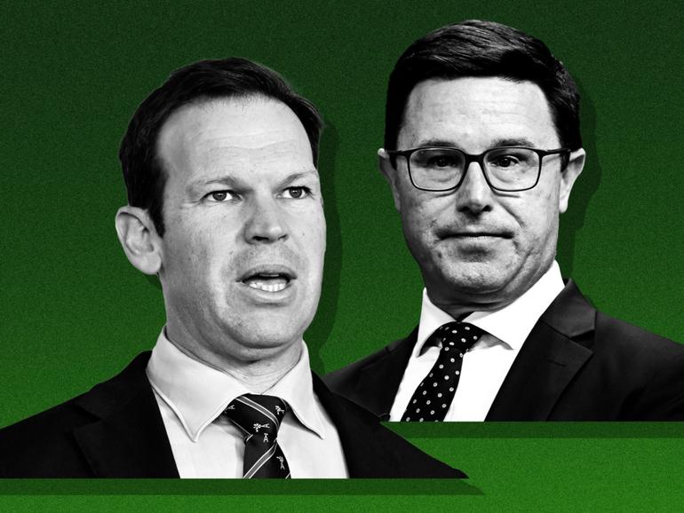 Senator Matt Canavan wants to ‘bring back the fighting spirit’ in a leadership challenge to Nationals incumbent David Littleproud. 