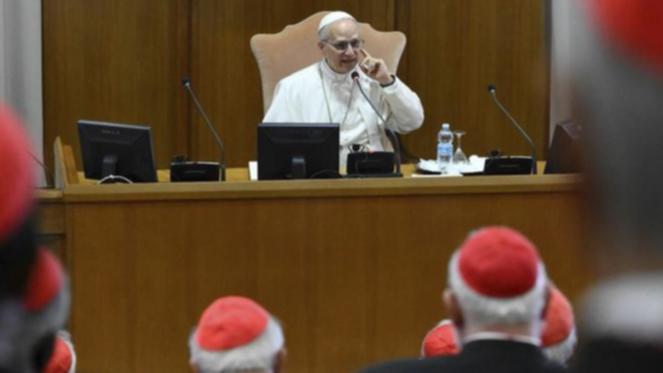 Pope Leo XIV has asked cardinals to ‘continue on the journey’ begun by Pope Francis.