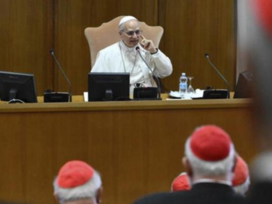 Pope Leo XIV has asked cardinals to ‘continue on the journey’ begun by Pope Francis. 