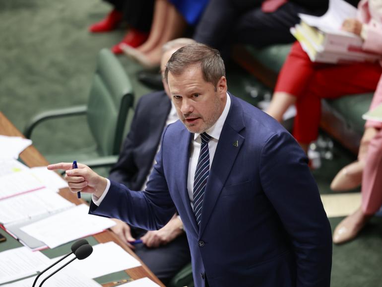 Ed Husic has lashed Deputy Prime Minister Richard Marles.