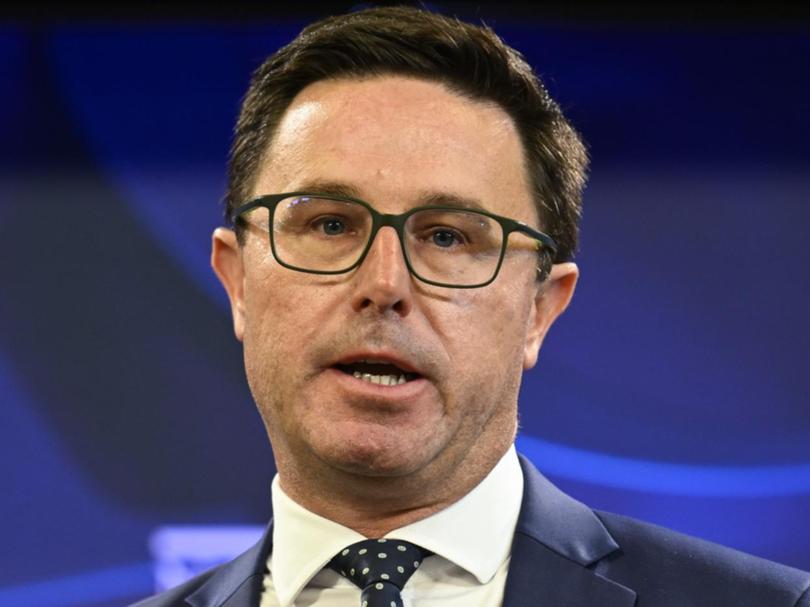Nationals Leader David Littleproud.
