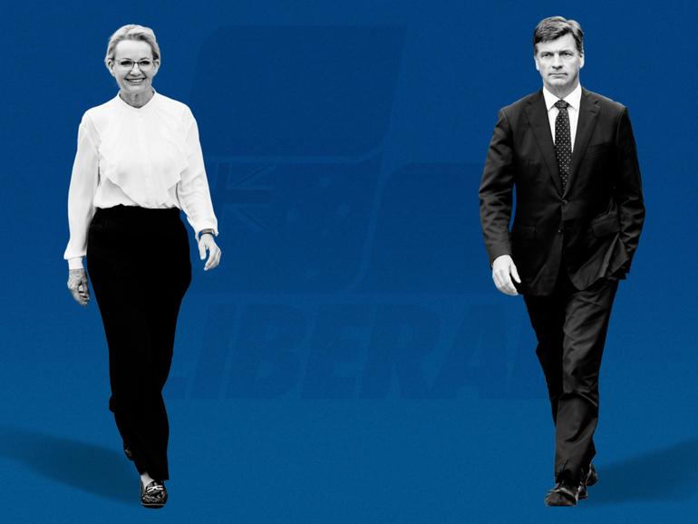 Voting intentions put Angus Taylor as the front runner to become the next leader of the Liberal Party. 