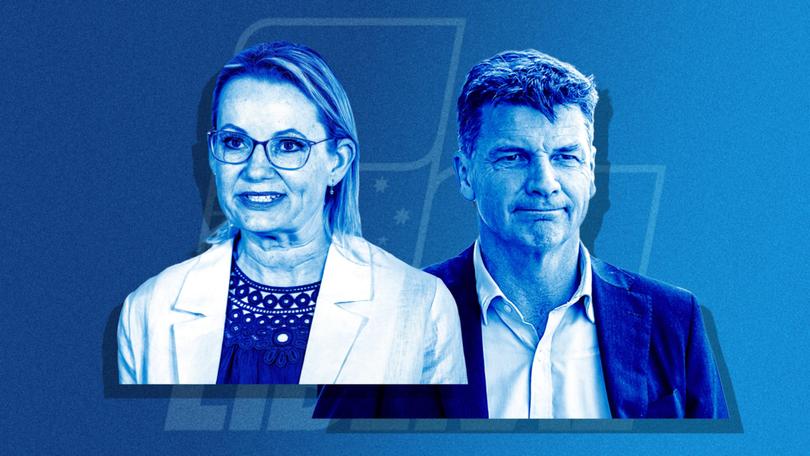 Voting intentions put Angus Taylor as the front runner to become the next leader of the Liberal Party.